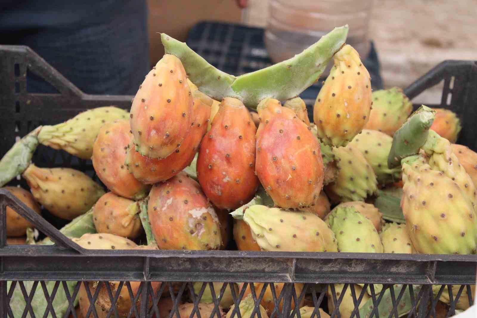 Kaktüs inciri, pazar tezgahlarının ilgi odağı oldu
