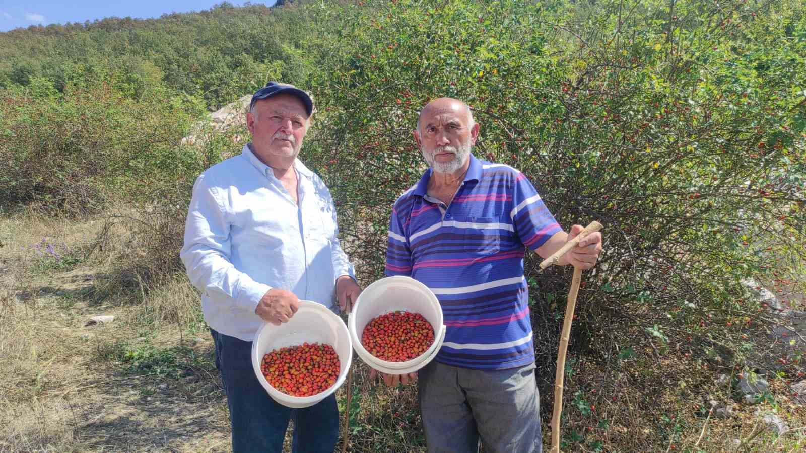 Dağlarda ki şifa deposu, Yozgat’ta yoğun talep görüyor
