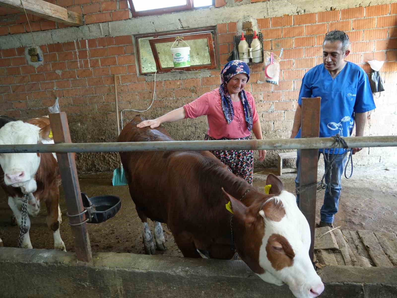 Hayvan sevgisi için hemşireliği bırakıp veteriner hekim oldu
