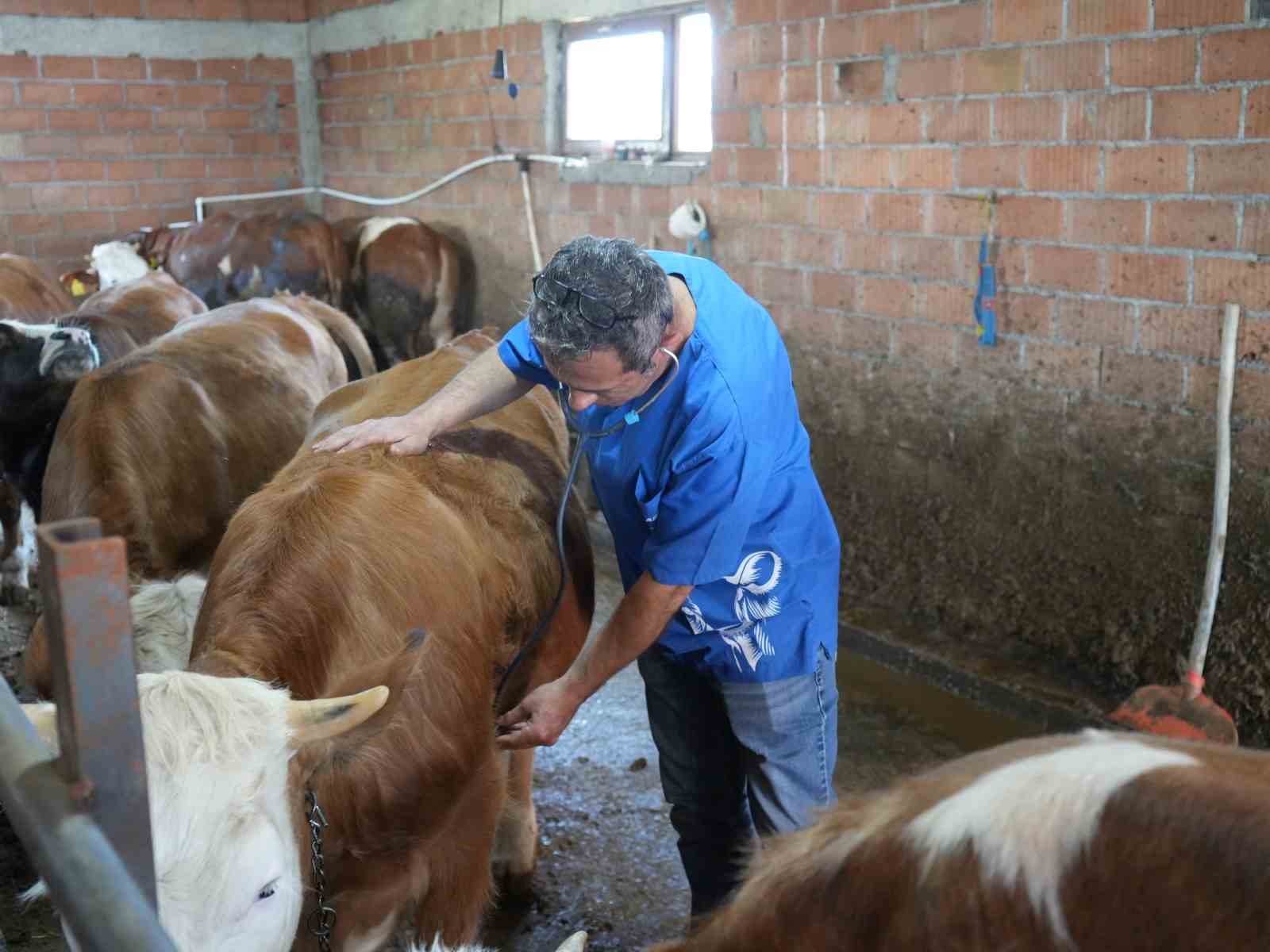 Hayvan sevgisi için hemşireliği bırakıp veteriner hekim oldu
