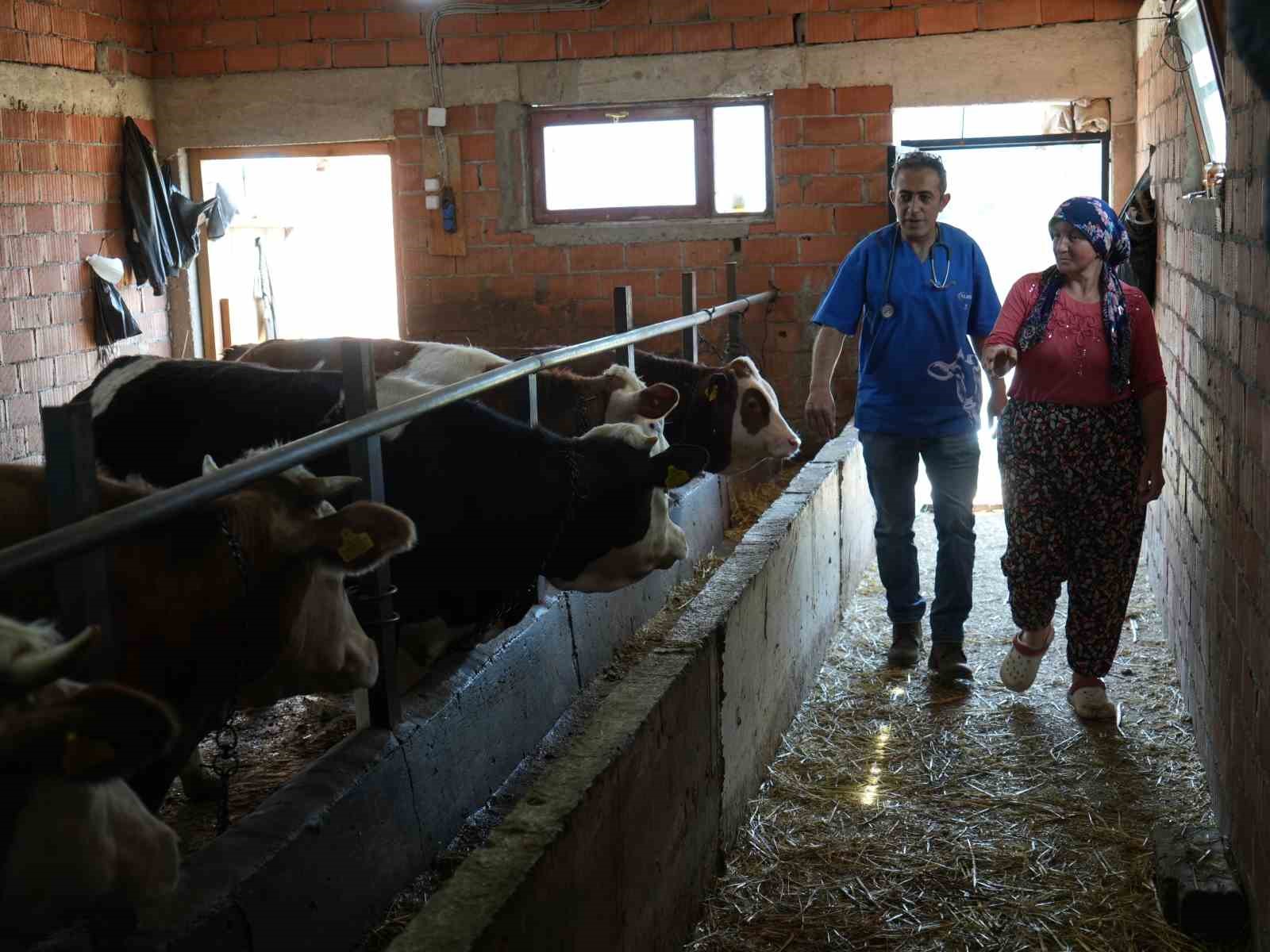 Hayvan sevgisi için hemşireliği bırakıp veteriner hekim oldu
