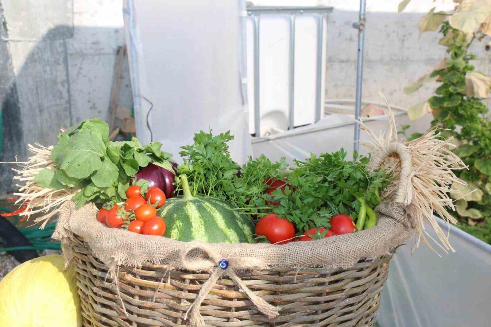 Kütahya’da ’Okuldaki çiftlik’ projesi ile hasat heyecanı yaşandı
