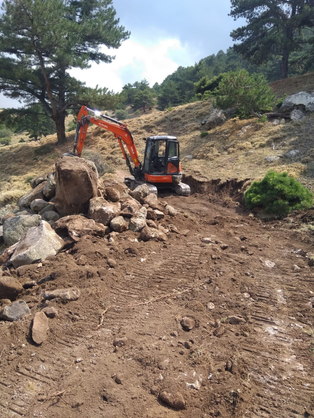 Uçurumdan düşen inek için 2 gün süren kurtarma operasyonu
