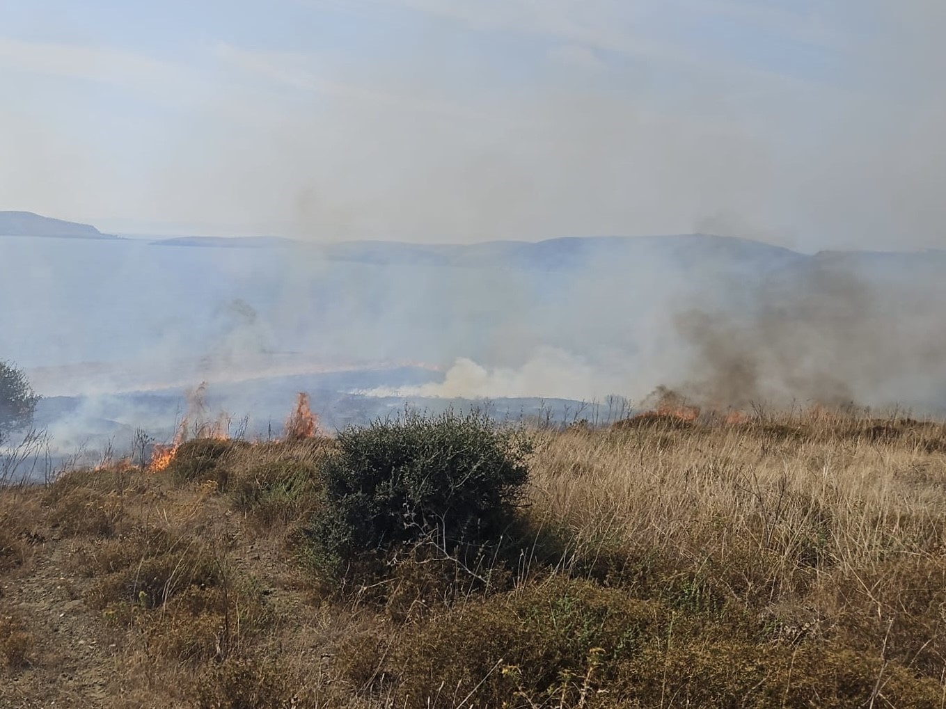 Paşalimanı Adası’nda yangın...Karadan ve havadan müdahale sürüyor
