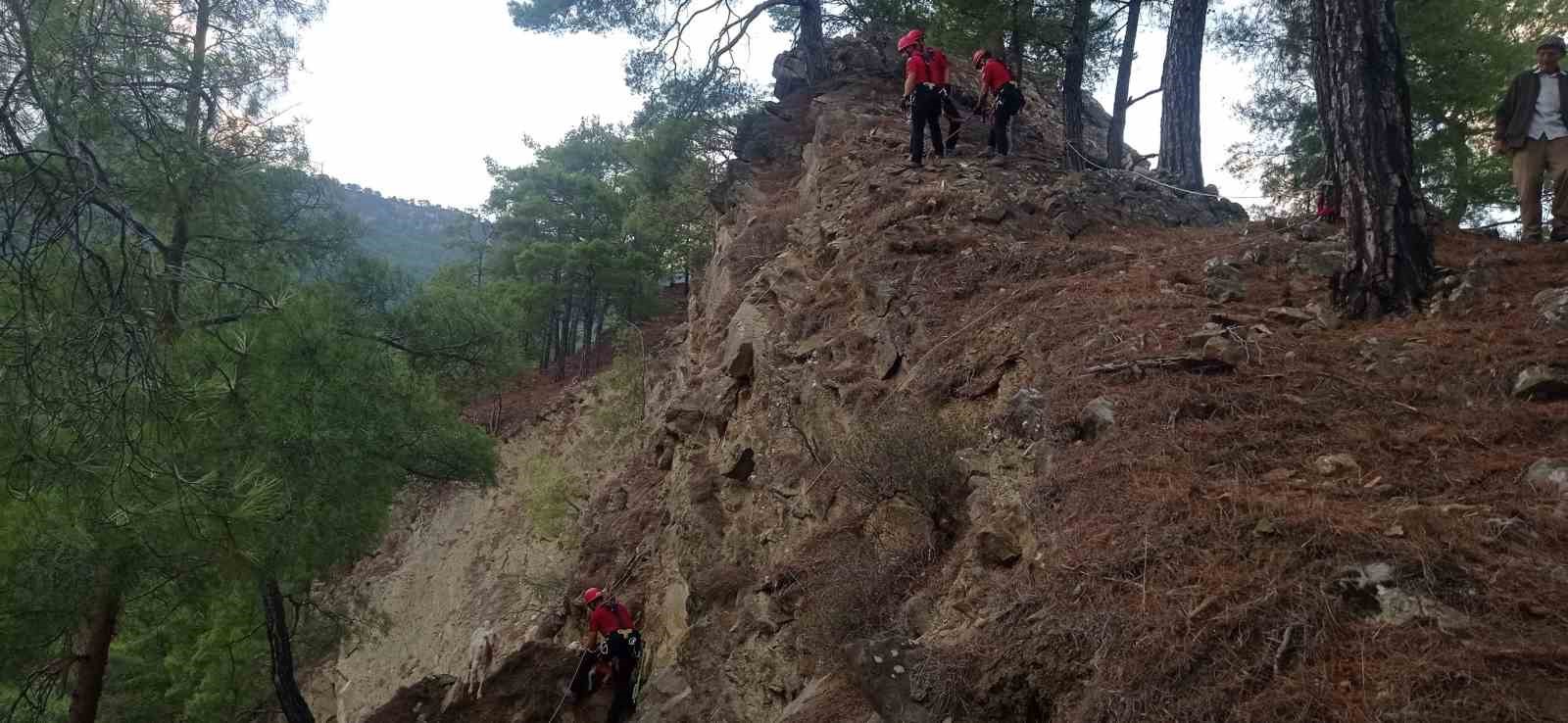 Dağda mahsur kalan keçileri jandarma kurtardı
