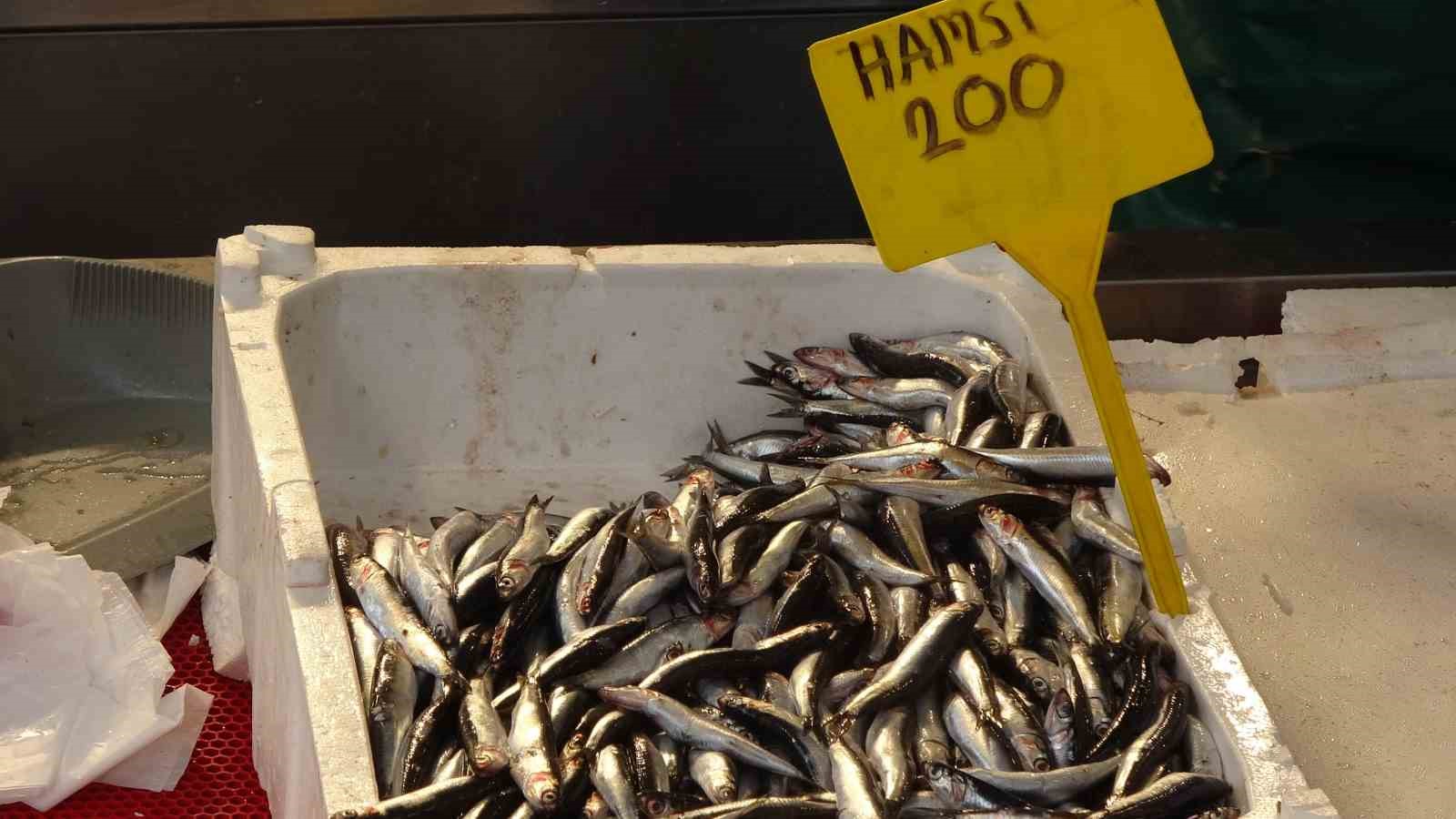 Hamsi palamutu kıskandı, tezgahlarda yerini aldı
