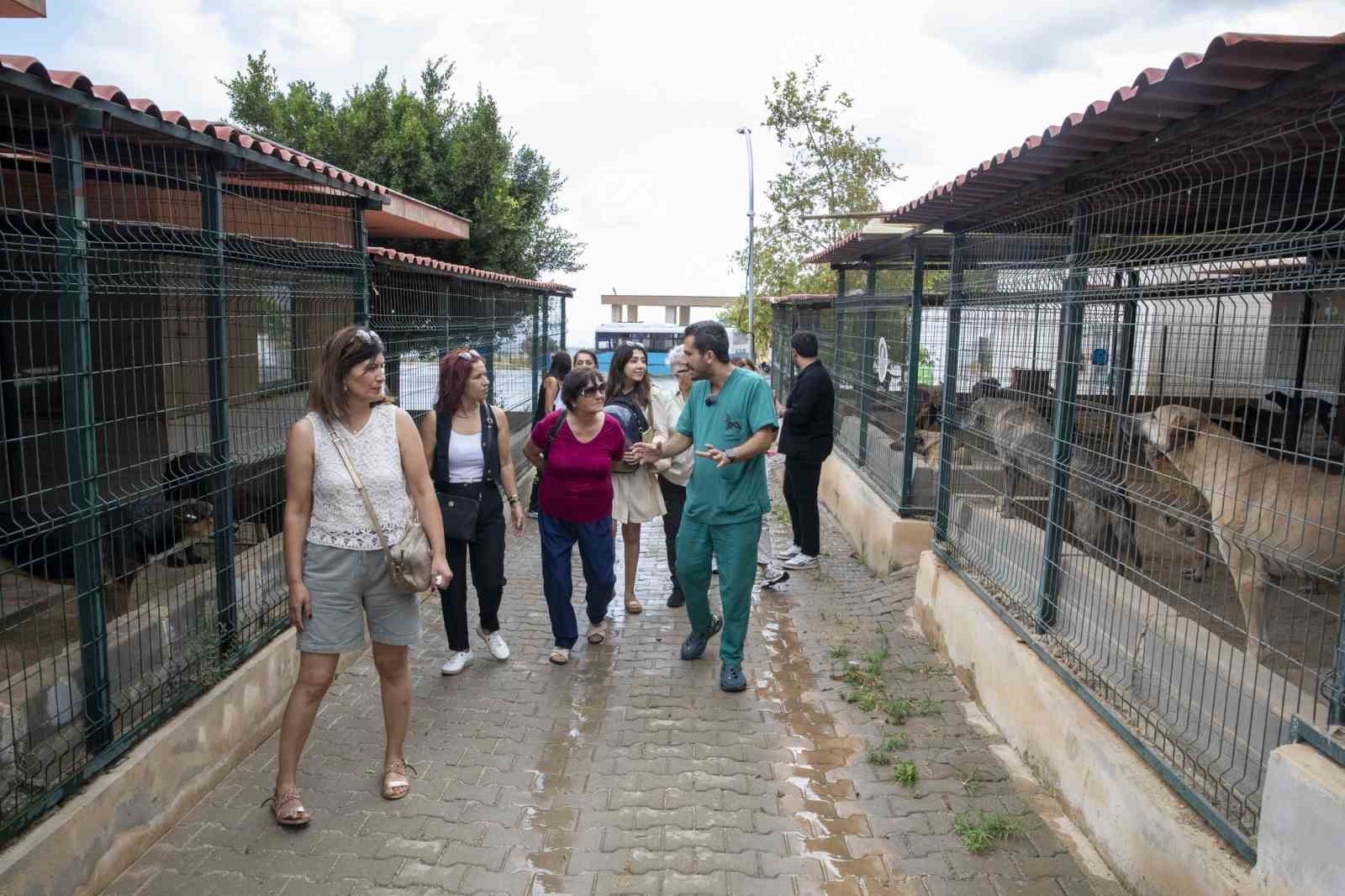 Kaşlı Bakım Evine hayvanseverlerden tam not
