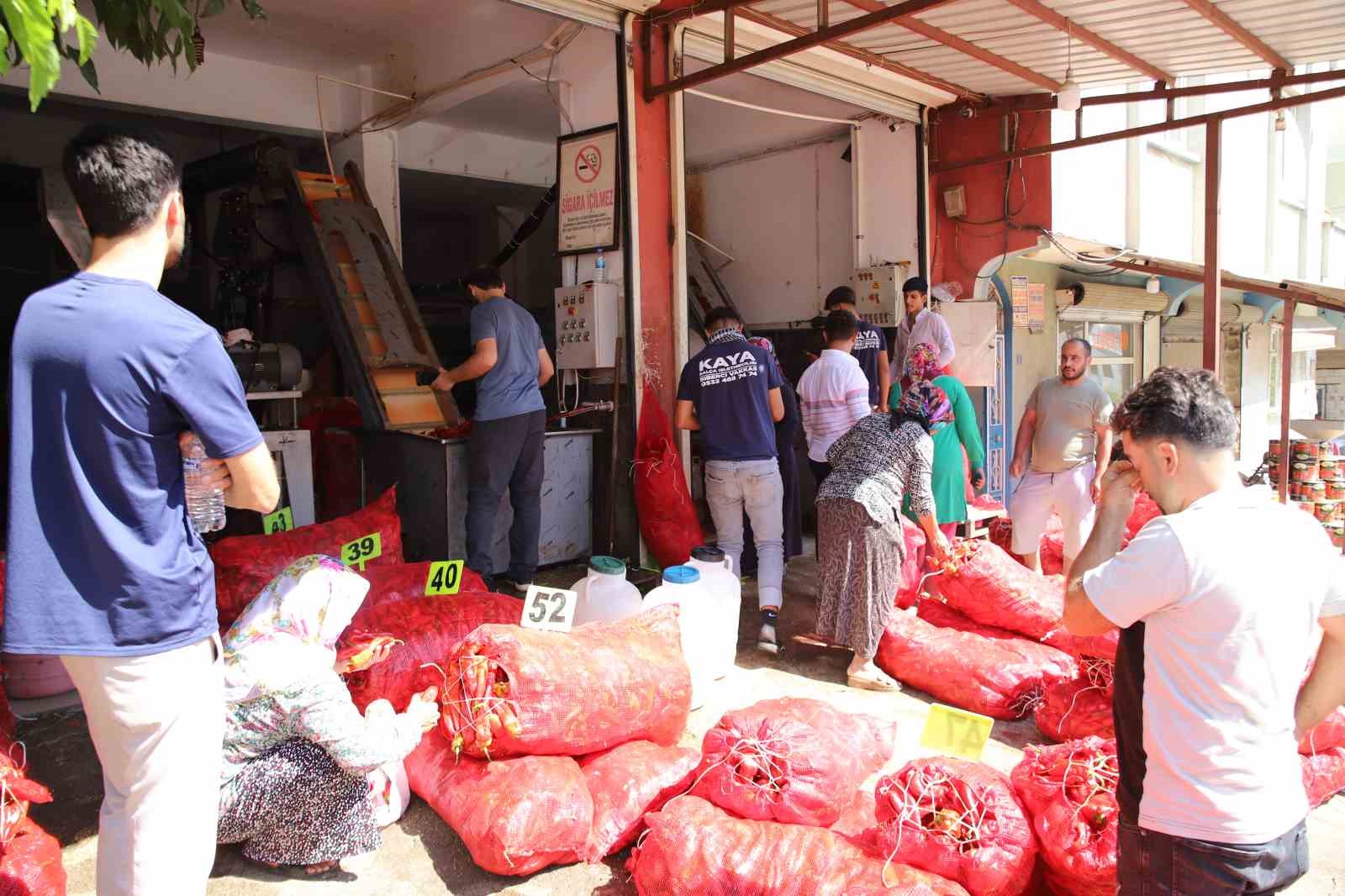 Gaziantep’te salça mesaisi başladı
