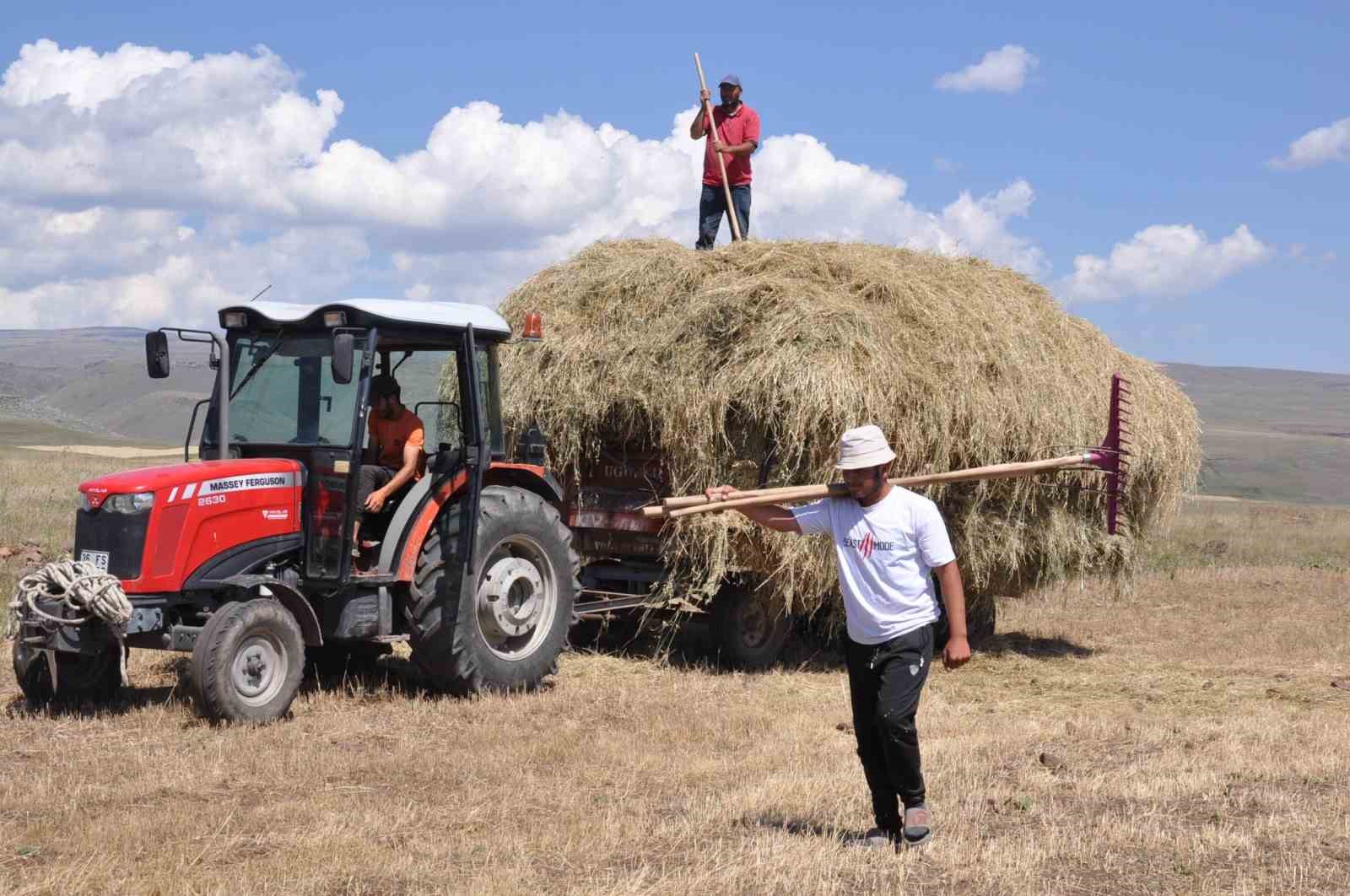 Kars’ta çiftçilerin sıcak havada ot toplama mesaisi
