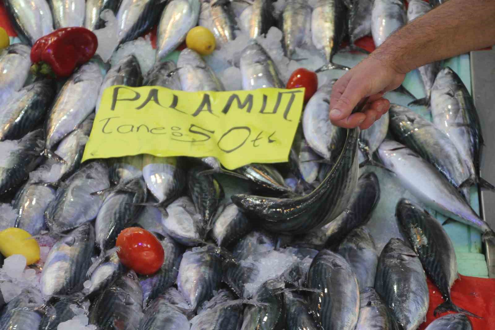 Karadeniz’de palamut bereketi: 3 tanesi 100 liraya kadar düştü
