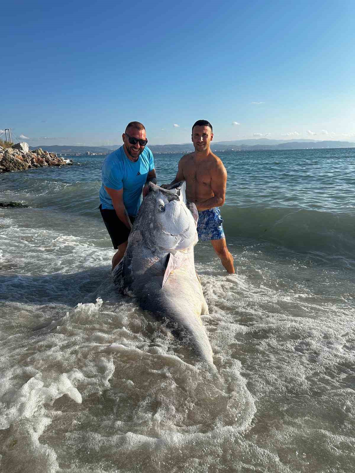 Marmara’da 2 dalgıç, 320 kilogram orkinos avladı
