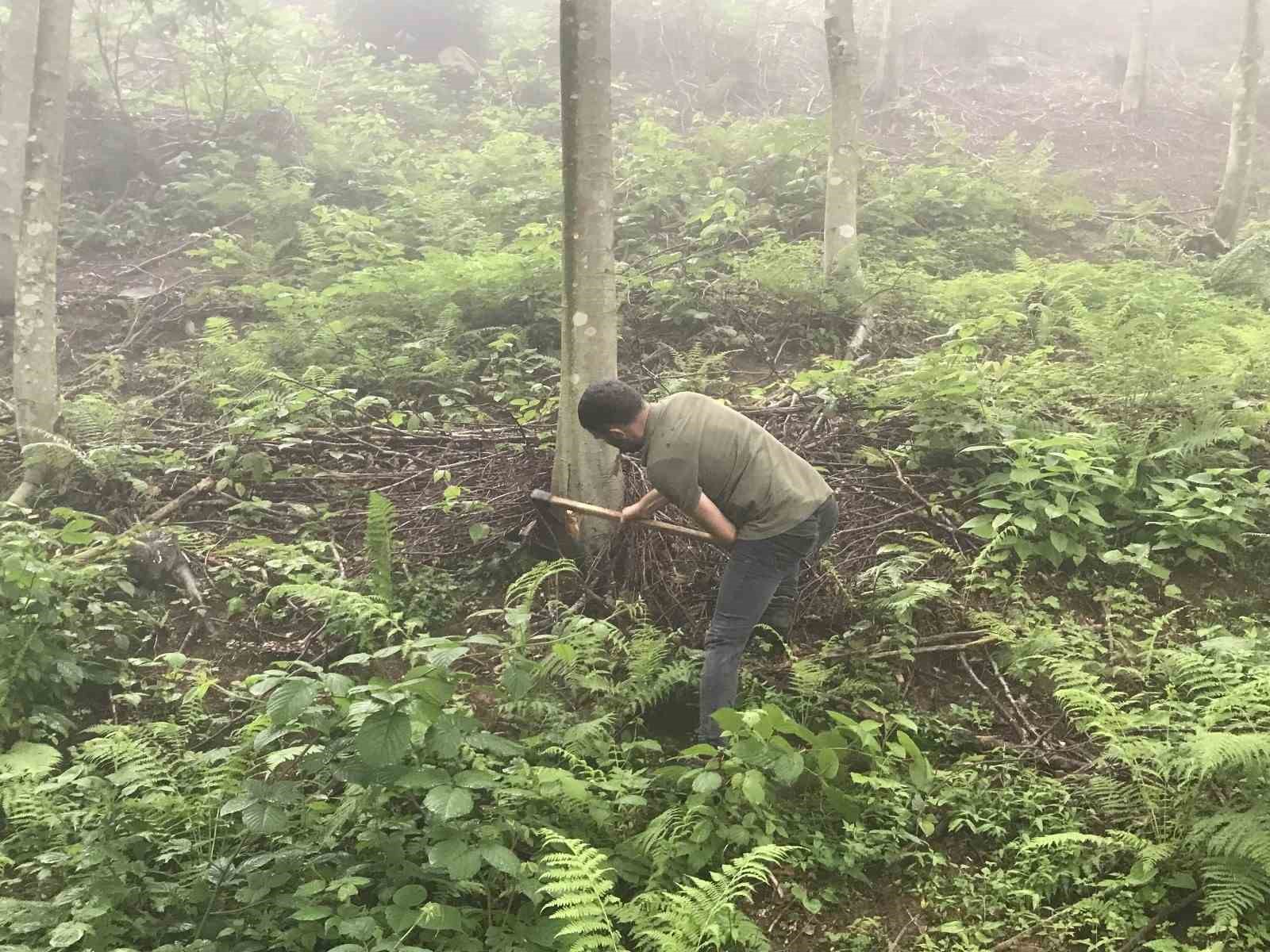 Artvin’de yaşanan olayın geçmişinin 3 yıl önceye dayandığı ortaya çıktı
