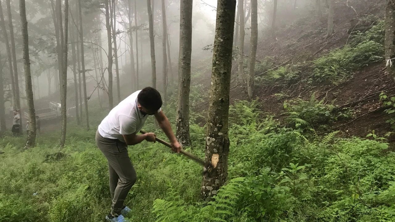 Artvin’de yaşanan olayın geçmişinin 3 yıl önceye dayandığı ortaya çıktı
