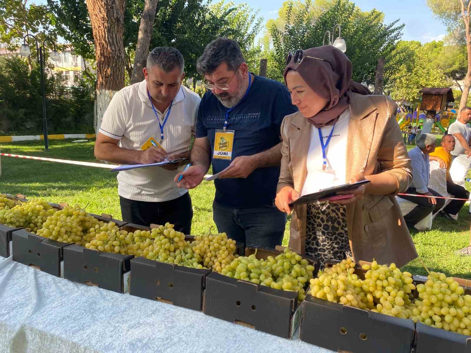 Alaşehir’in en güzel üzümü seçildi
