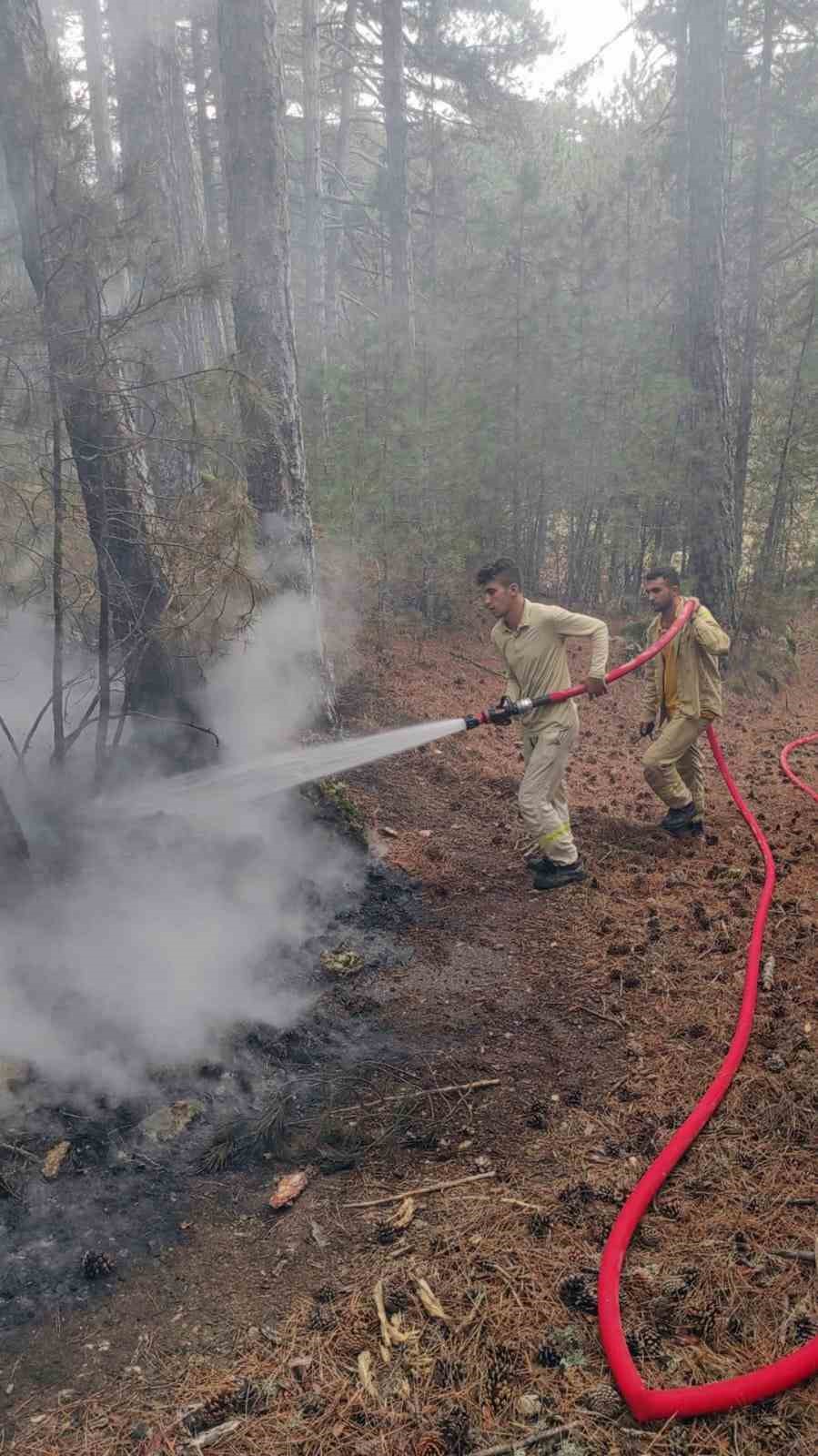 Muğla’da 5 günde 50 yıldırım yangını
