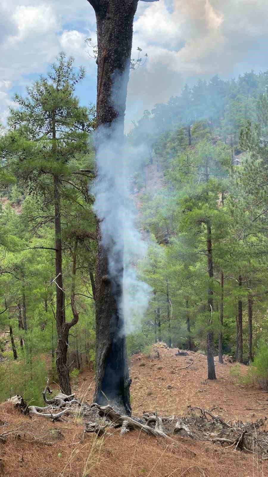 Muğla’da 5 günde 50 yıldırım yangını
