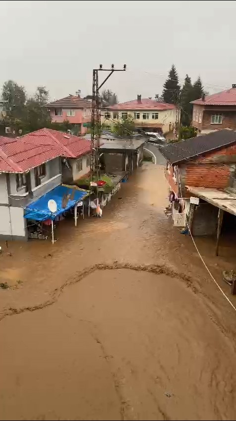 Rize’de şiddetli yağış sonrası heyelanlar meydana geldi
