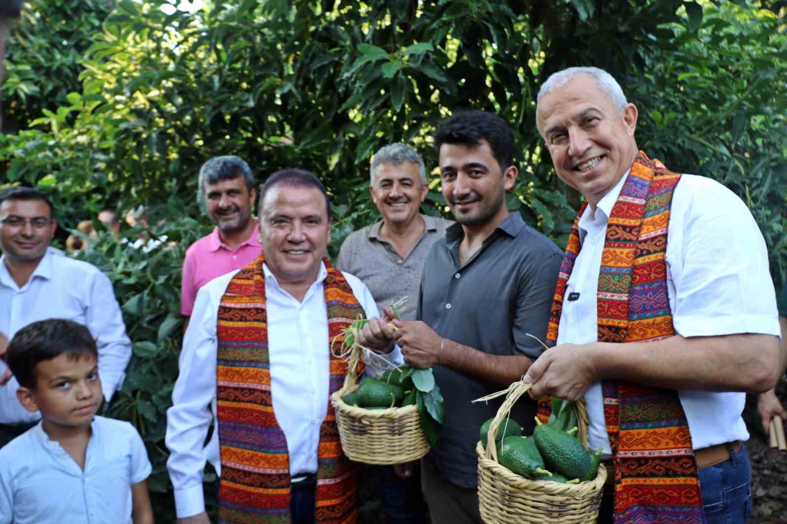 Foodfest Antalya Uluslararası Gastronomi Festivali kapsamında avokado ve mango hasadı yapıldı
