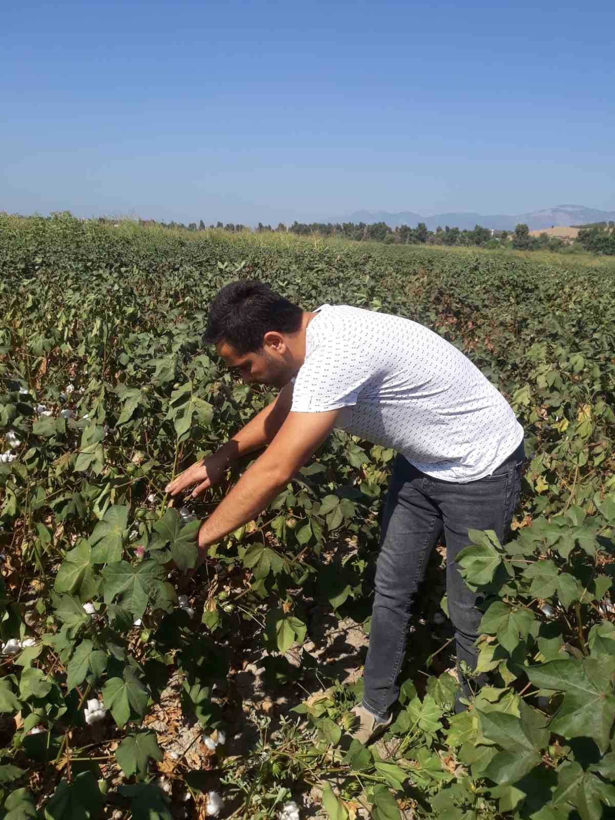 Söke’de yağlı tohumlu bitkilerde destekleme tespitleri devam ediyor
