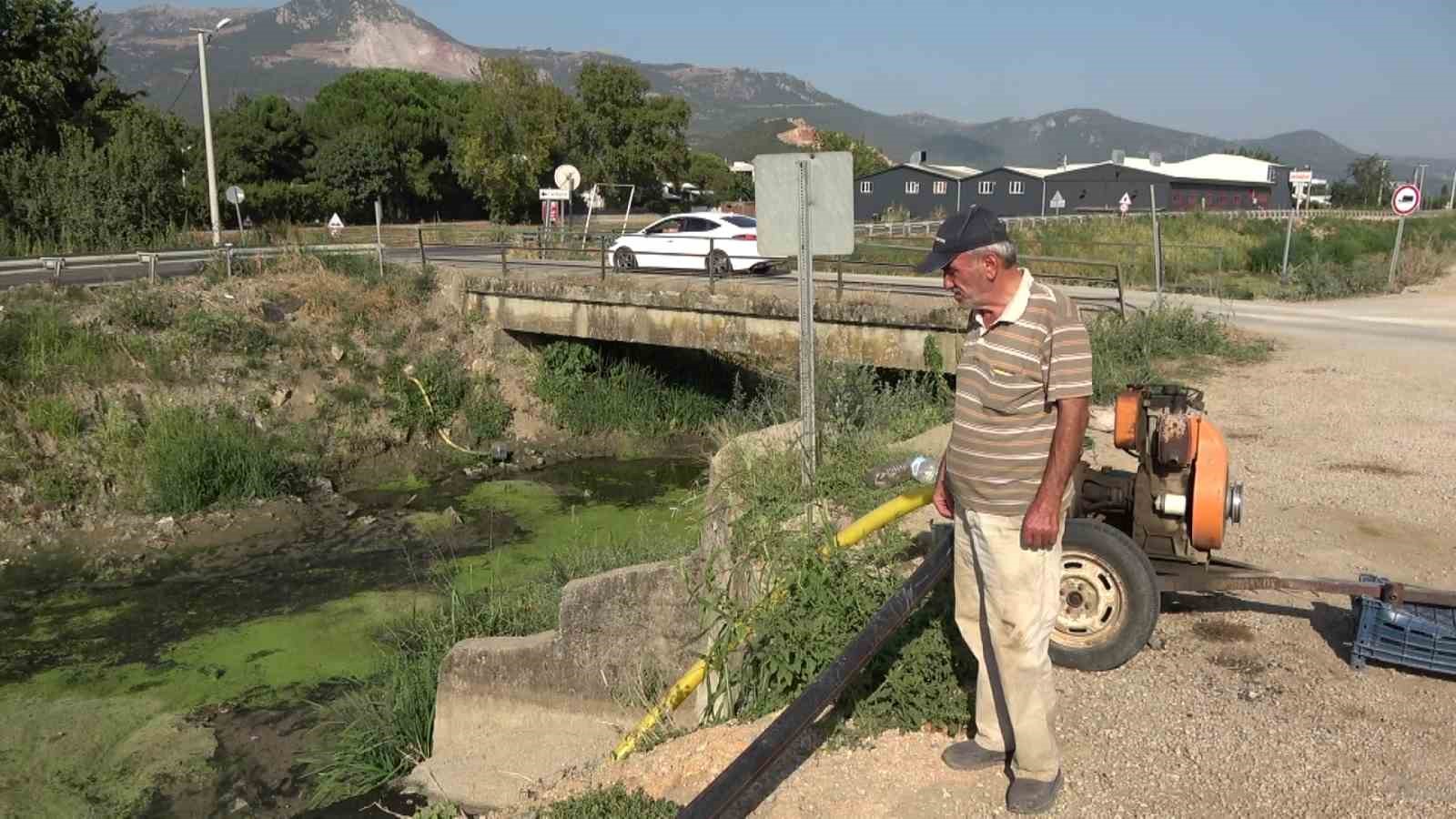 Bursa’da sulama kanalları kurudu, balık ölümleri başladı, şeftali ve armut kuruyor
