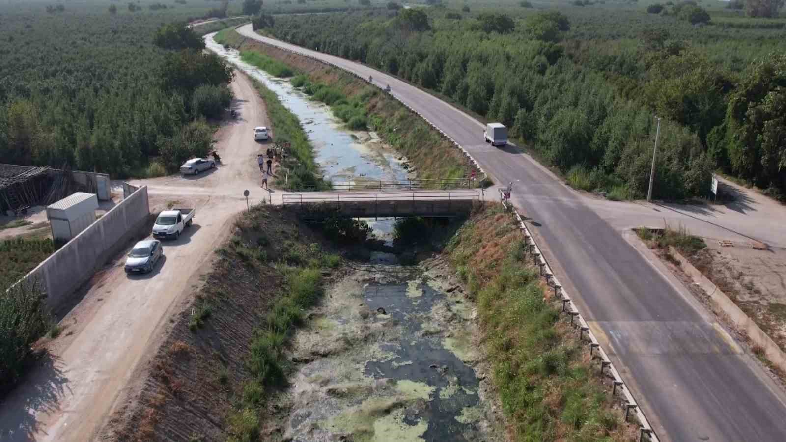 Bursa’da sulama kanalları kurudu, balık ölümleri başladı, şeftali ve armut kuruyor
