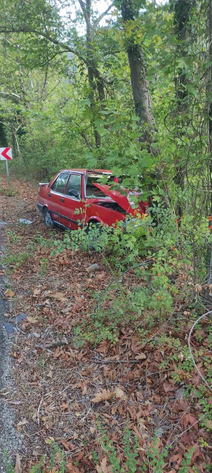 Ağaca çarpan otomobildeki 2 kişi yaralandı
