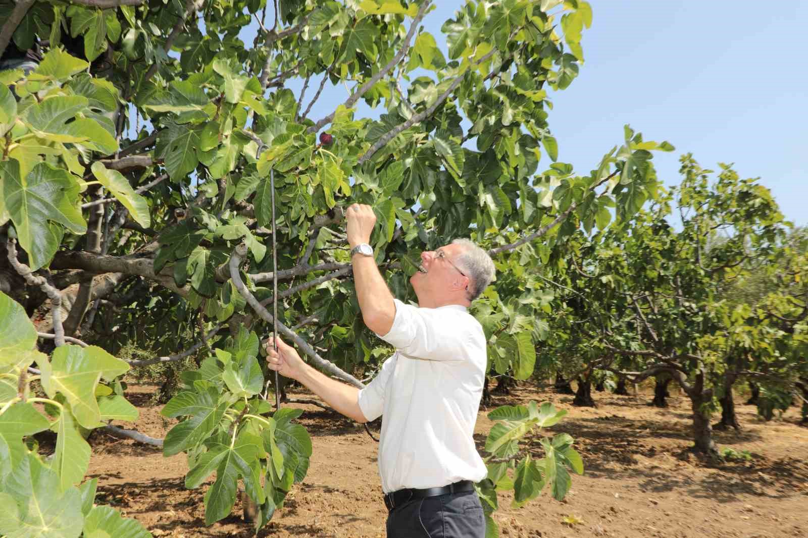 Mudanyalı üreticilere çifte müjde
