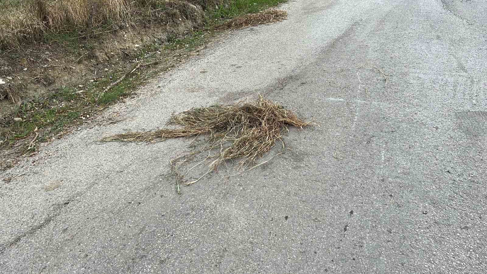 Sinop’ta motosiklet kazası: 1 yaralı
