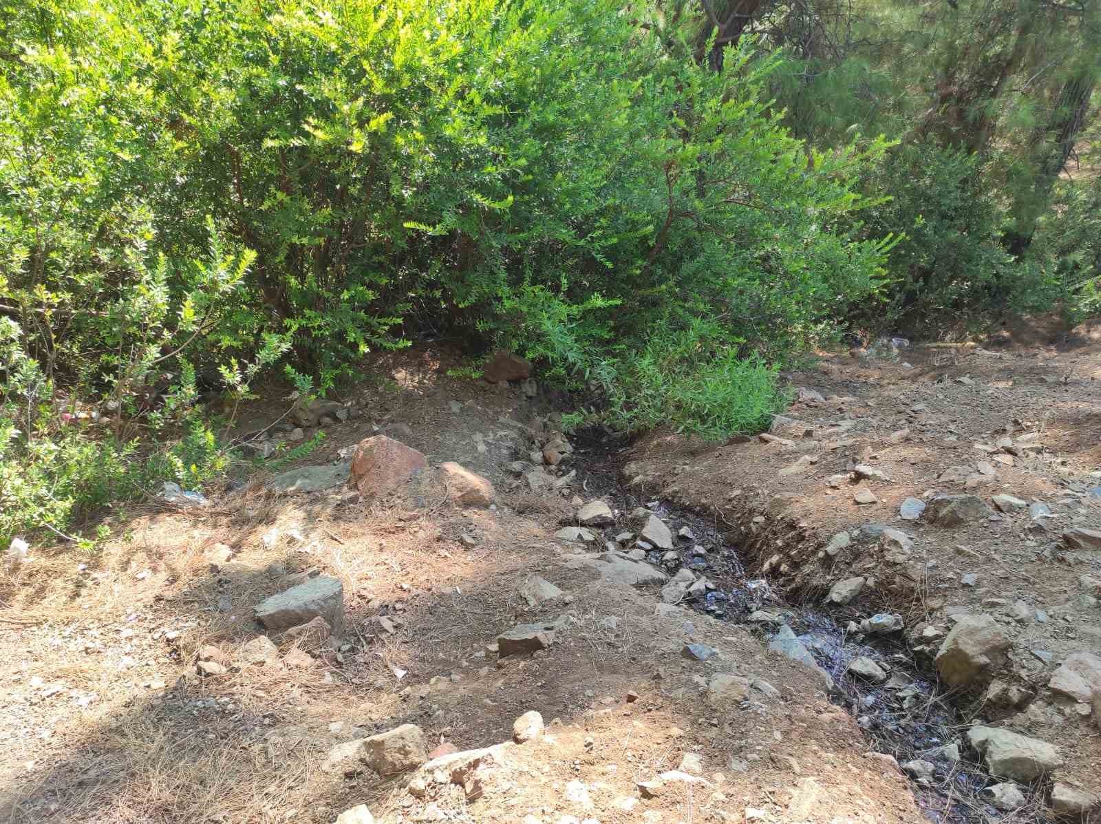 Fethiye’de ormanda terk edilmiş bebek bulundu
