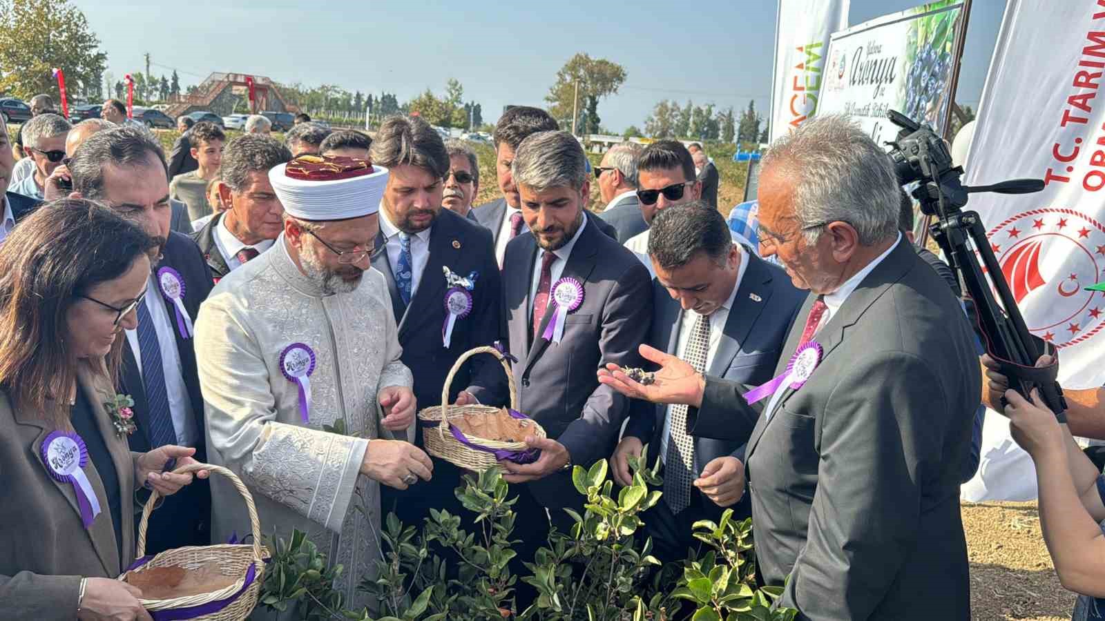 Yalova Aronya Festivali renkli görüntülerle başladı
