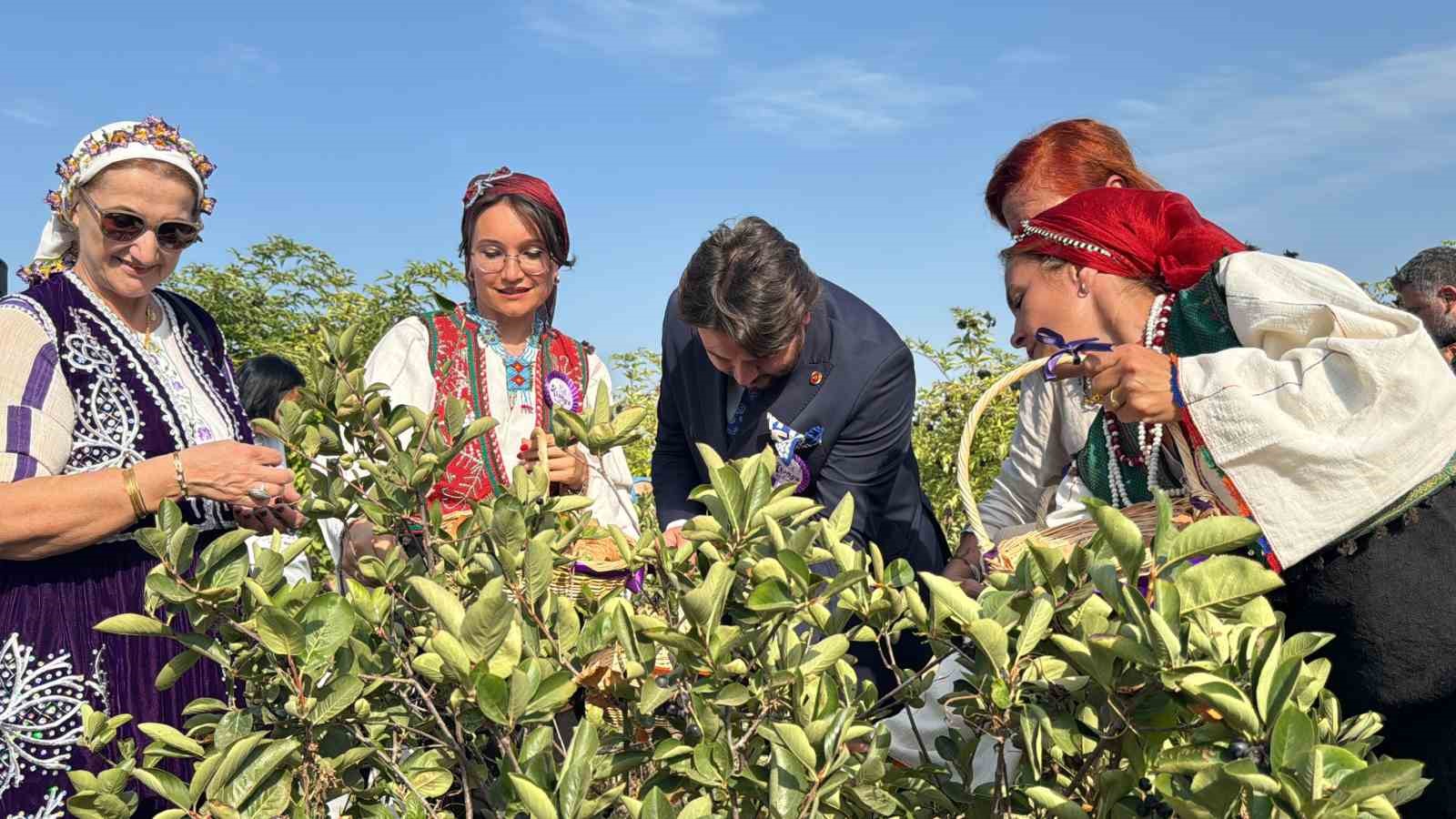 Yalova Aronya Festivali renkli görüntülerle başladı
