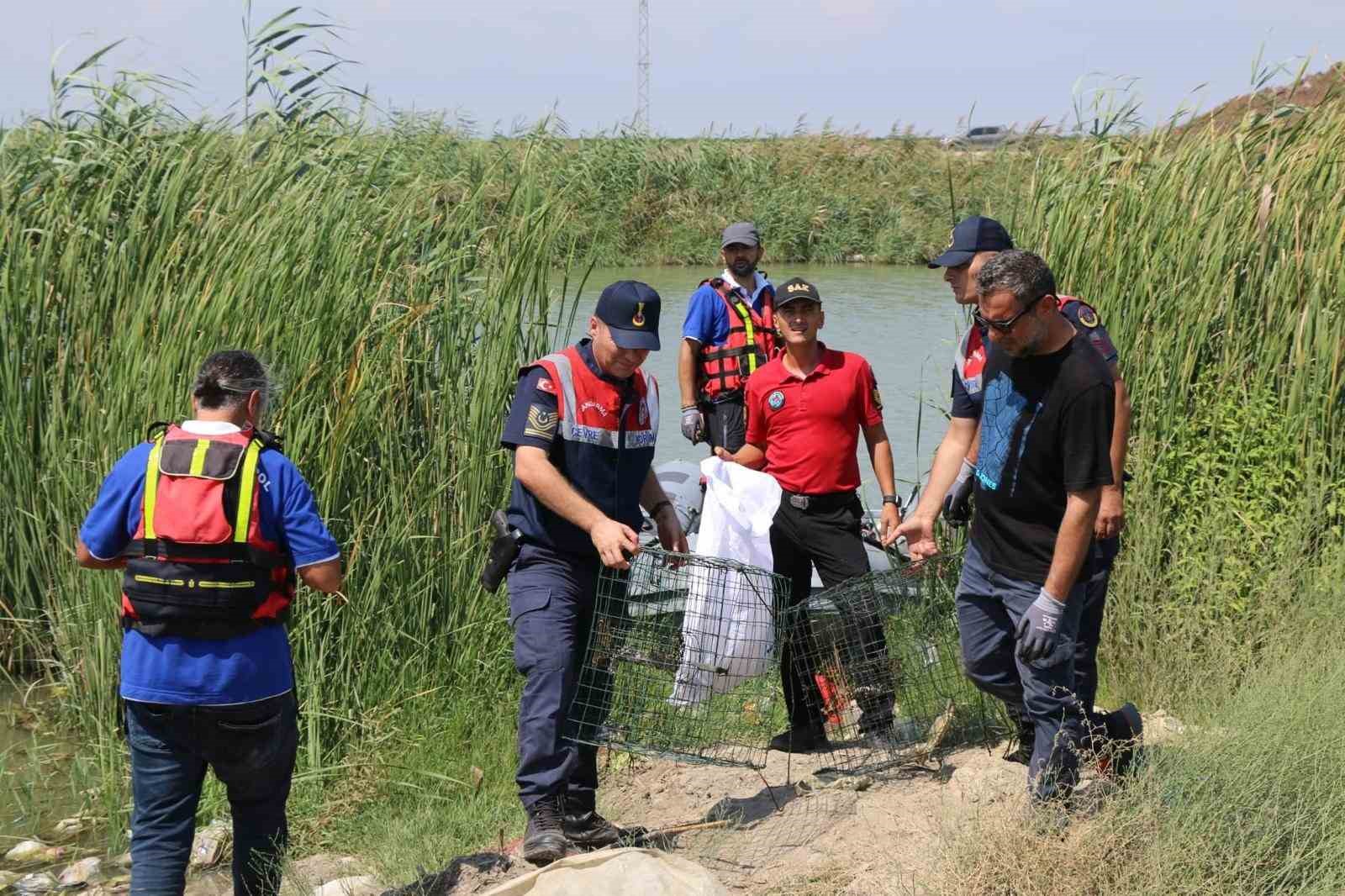 Adana’da kaçak balık avına geçit yok
