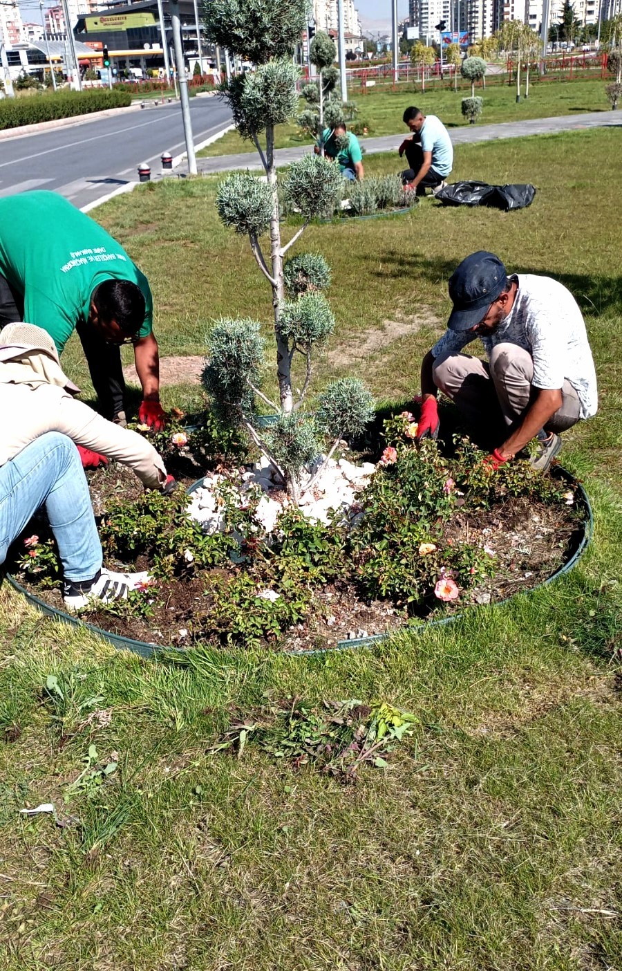 Büyükşehir, yabancı otlarla mücadele ve bakım çalışmalarına hız verdi
