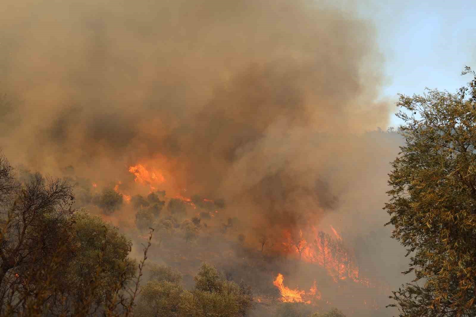 Muğla’daki yangın yolu kapattı
