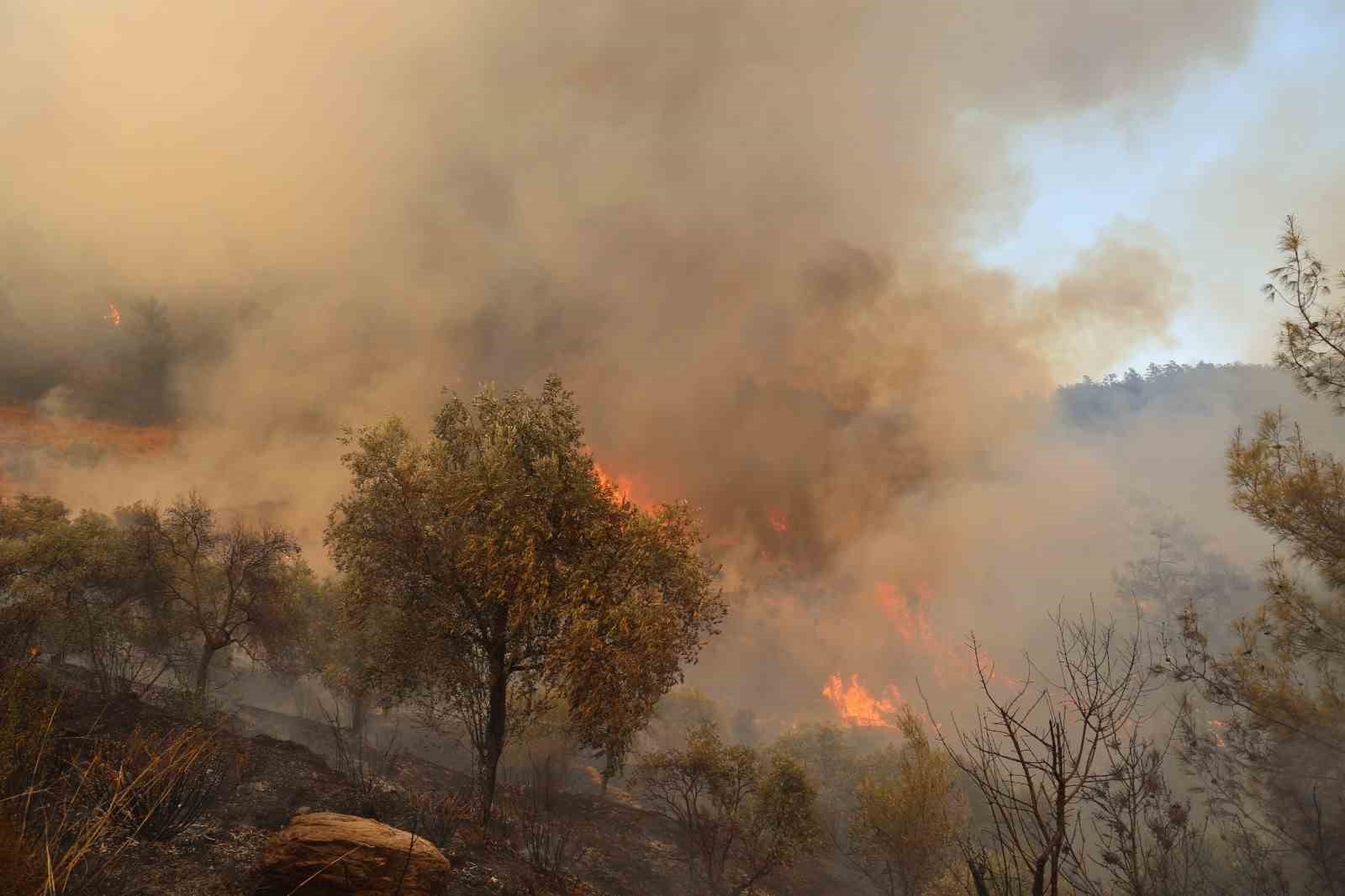 Muğla’daki yangın yolu kapattı
