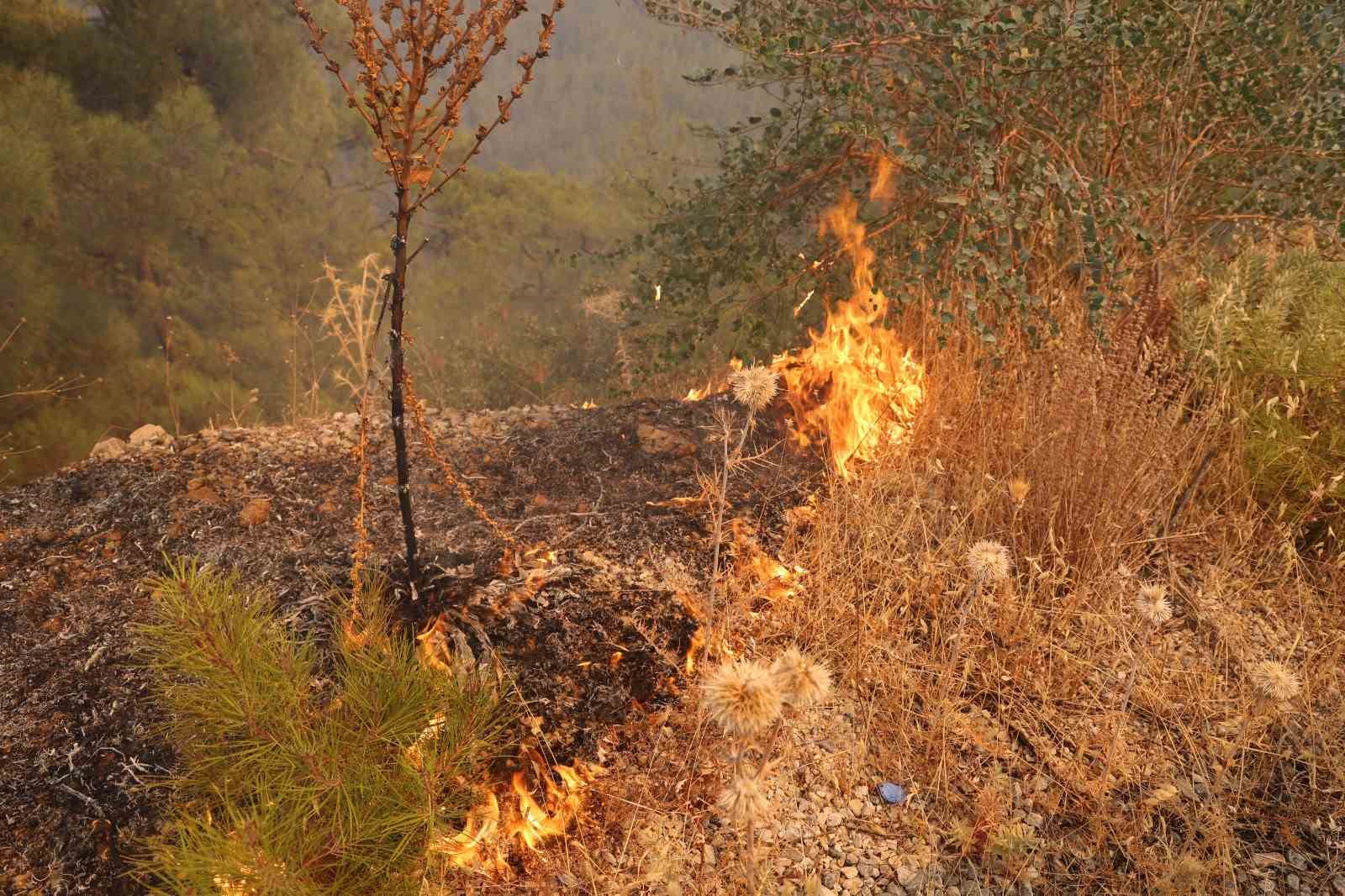 Muğla’daki yangın yolu kapattı
