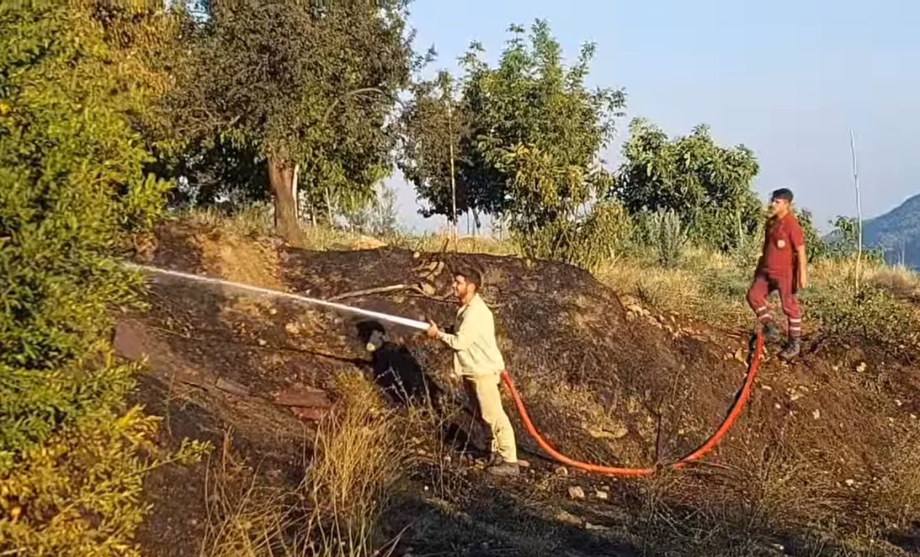 Denizli’de çıkan yangın ormana sıçramadan söndürüldü
