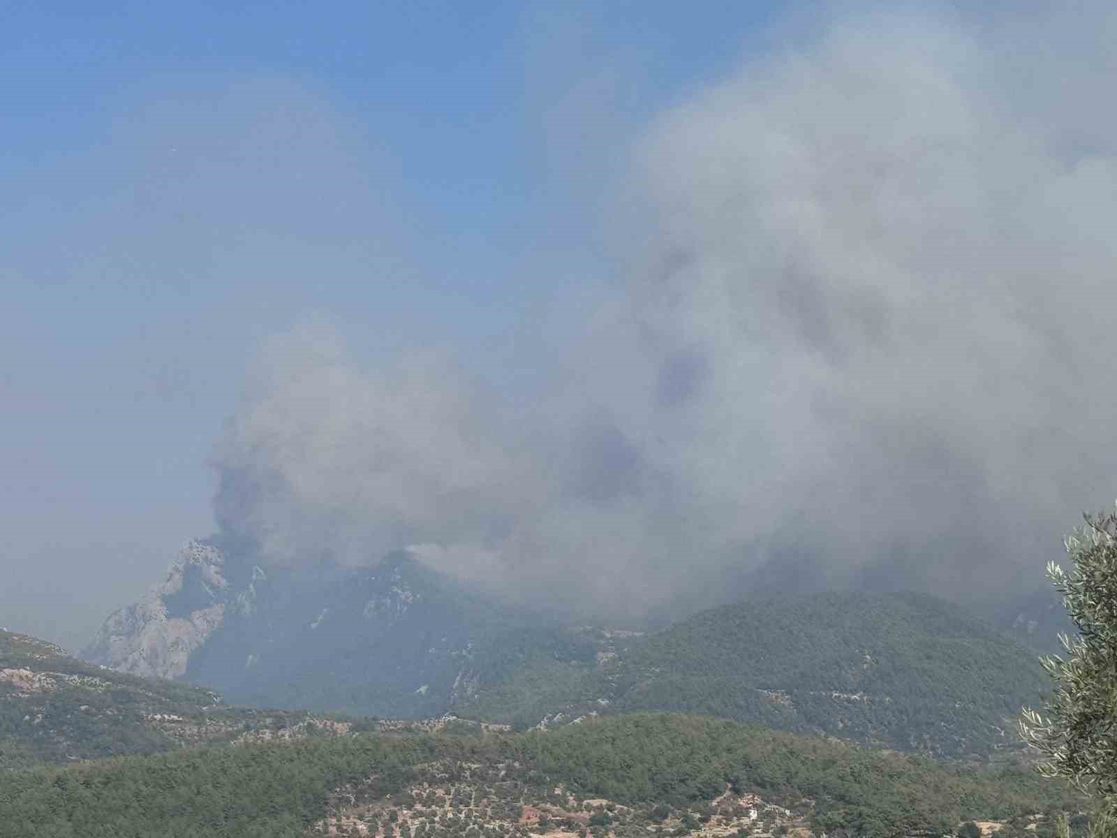 Alevler emekleri yok etti: Orman yangınında yüzlerce arı kovanı küle döndü
