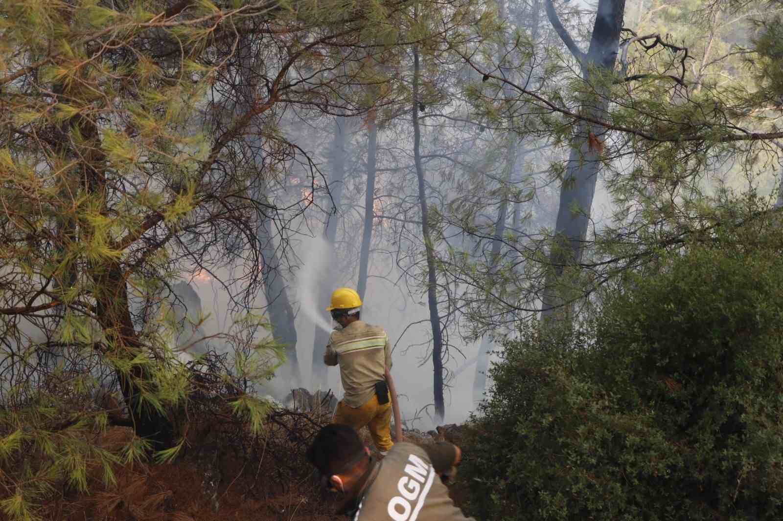 Yangına müdahale devam ediyor
