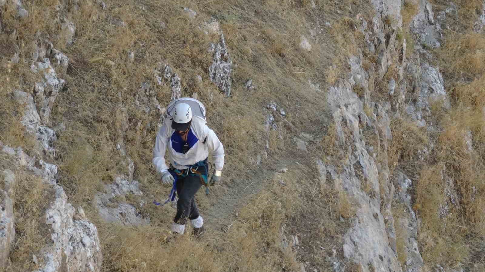 300 metre yükseklikteki kayalardan topladığı balı hastalara veriyor
