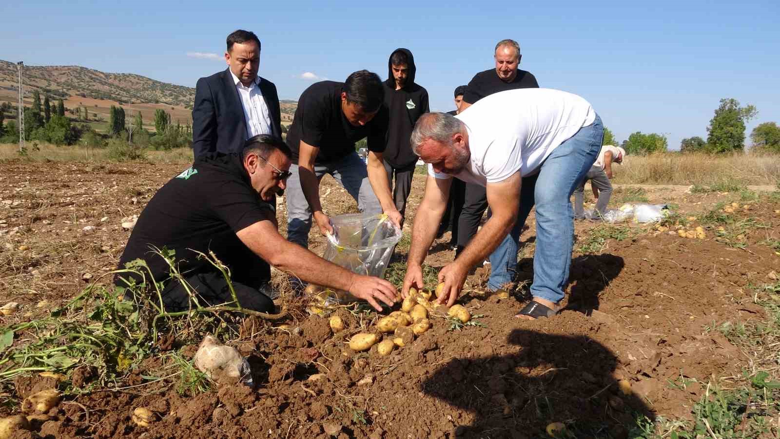 Verim ve kaliteden memnun kalan patates üreticileri, tarla satış fiyatını düşük buldu
