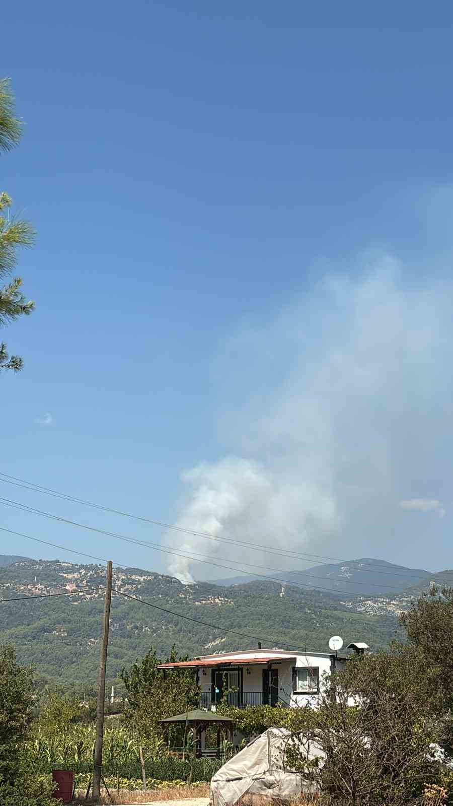 Kaş’ta orman yangını
