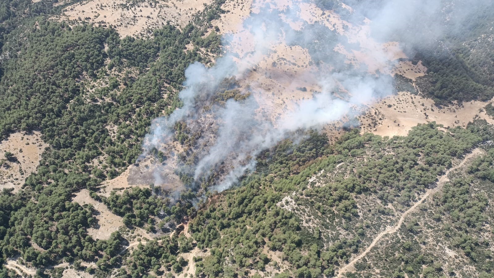 Kaş’ta orman yangını
