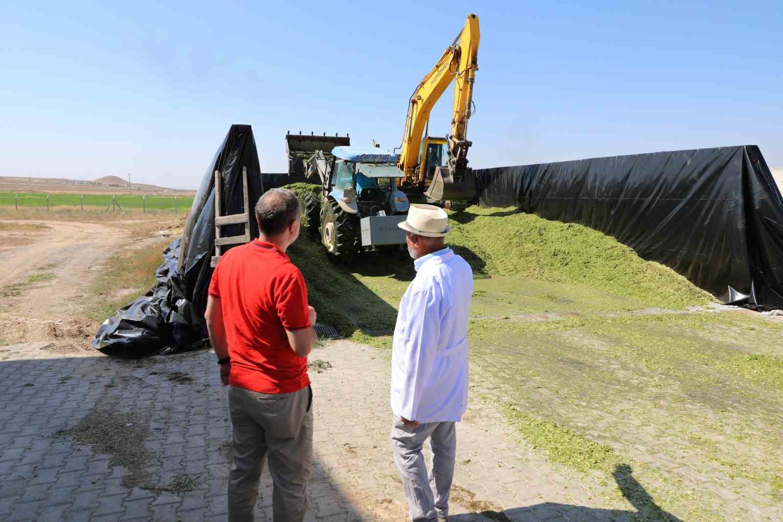 Üreten Üniversite NÖHÜ’de mısır hasadı başladı
