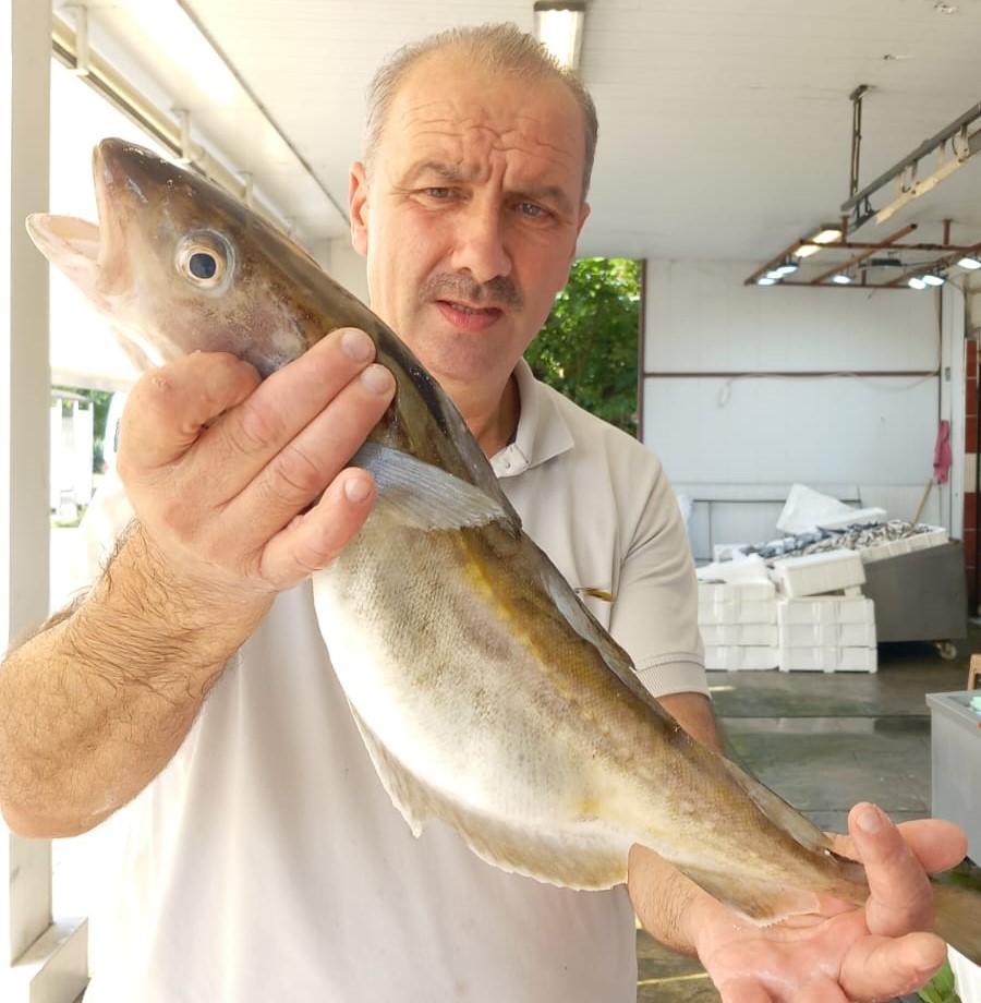 Ordu’da balıkçıların ağına 1 kilogramlık mezgit balığı takıldı
