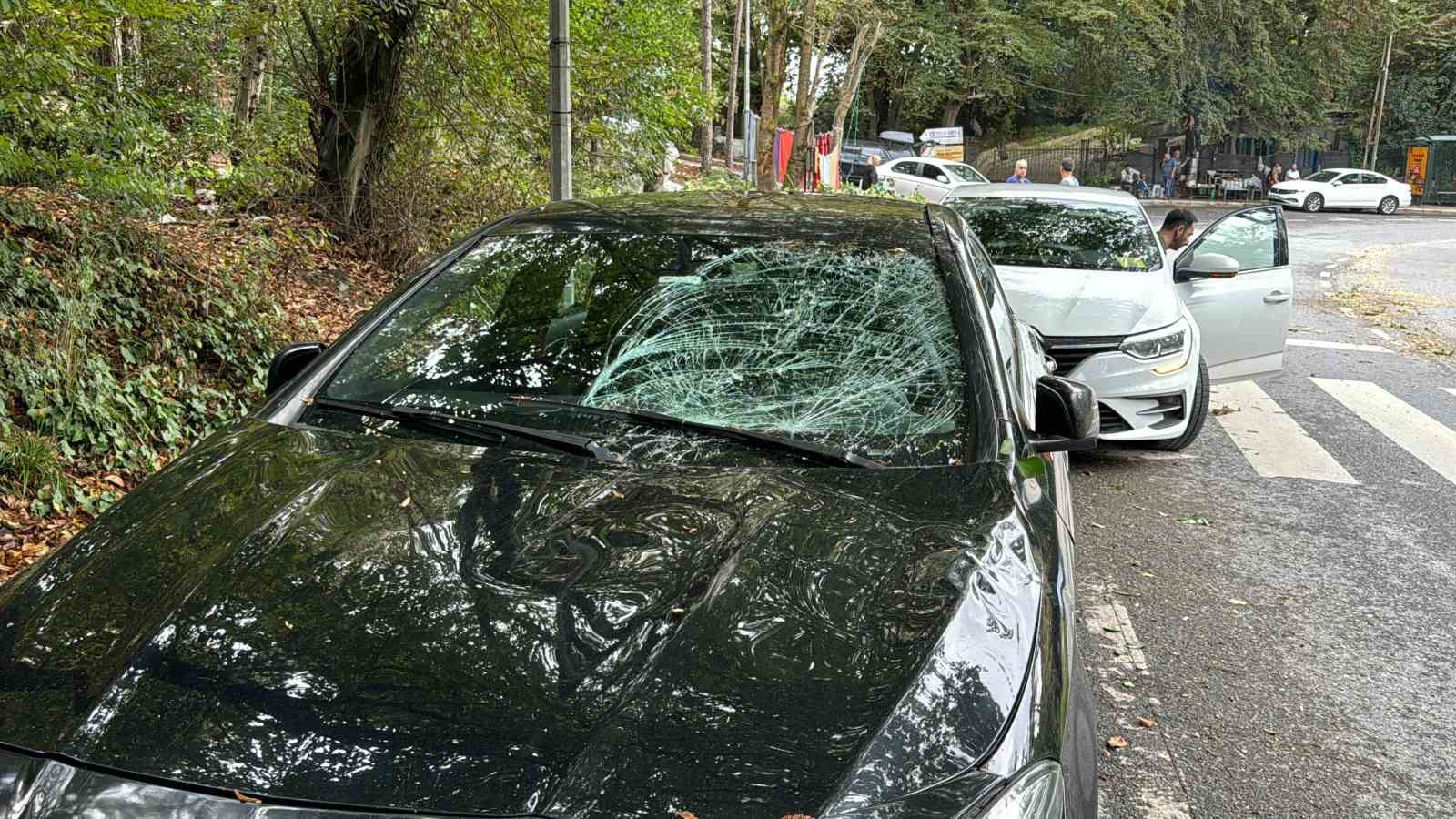 Sarıyer’de kökünden kopan ağaç araçların üzerine devrildi, sürücüler korku dolu anlar yaşadı
