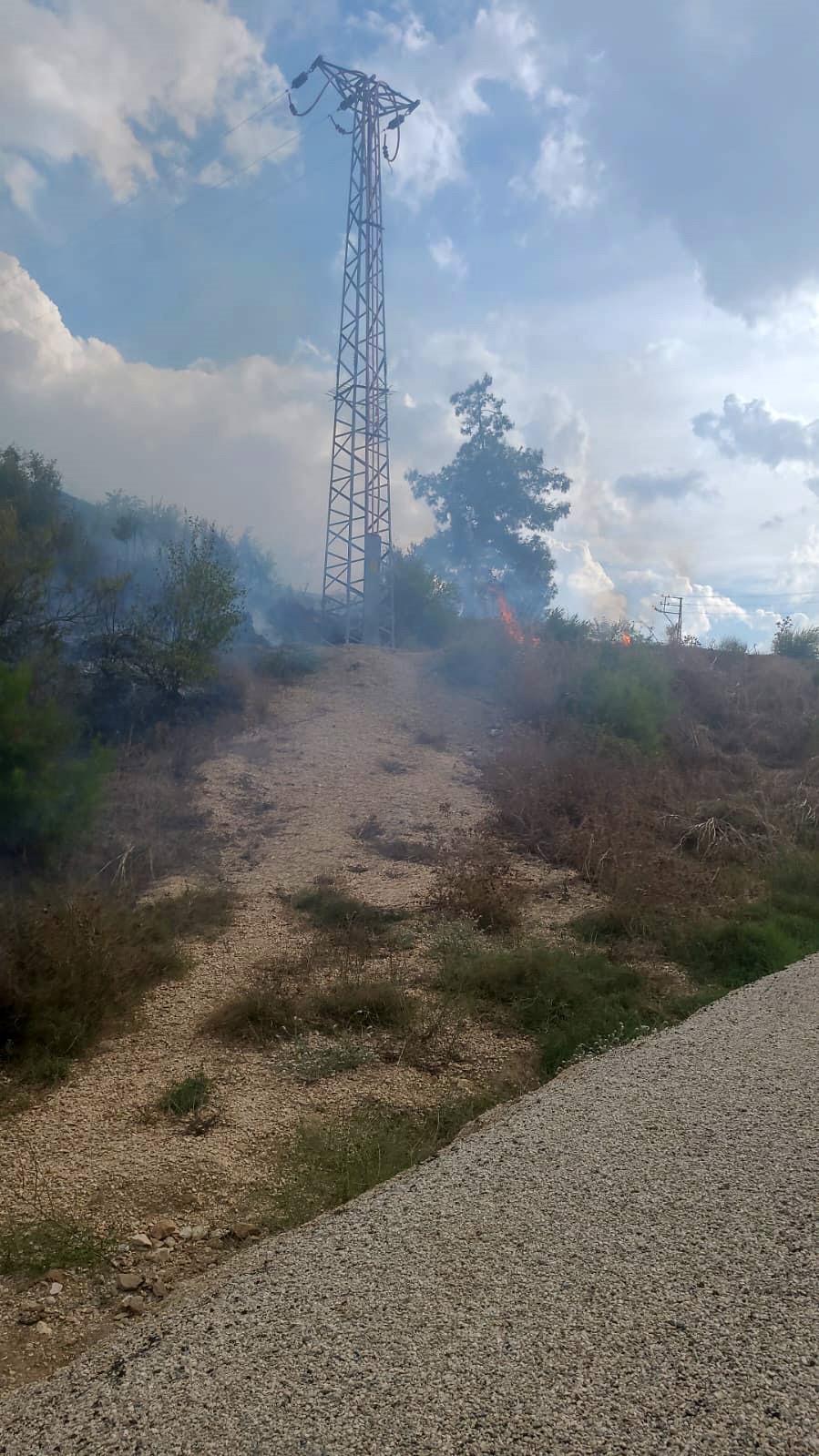 Adana’da çıkan orman yangını kontrol altına alındı
