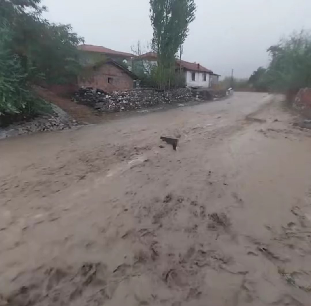 Tokat’ta dolu ve sağanak etkili oldu
