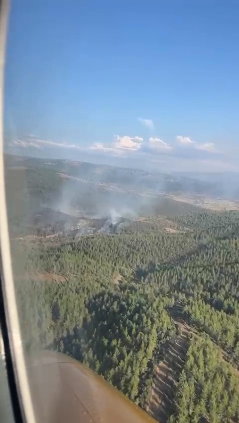 Bursa’da çıkan orman yangını kontrol altına alındı
