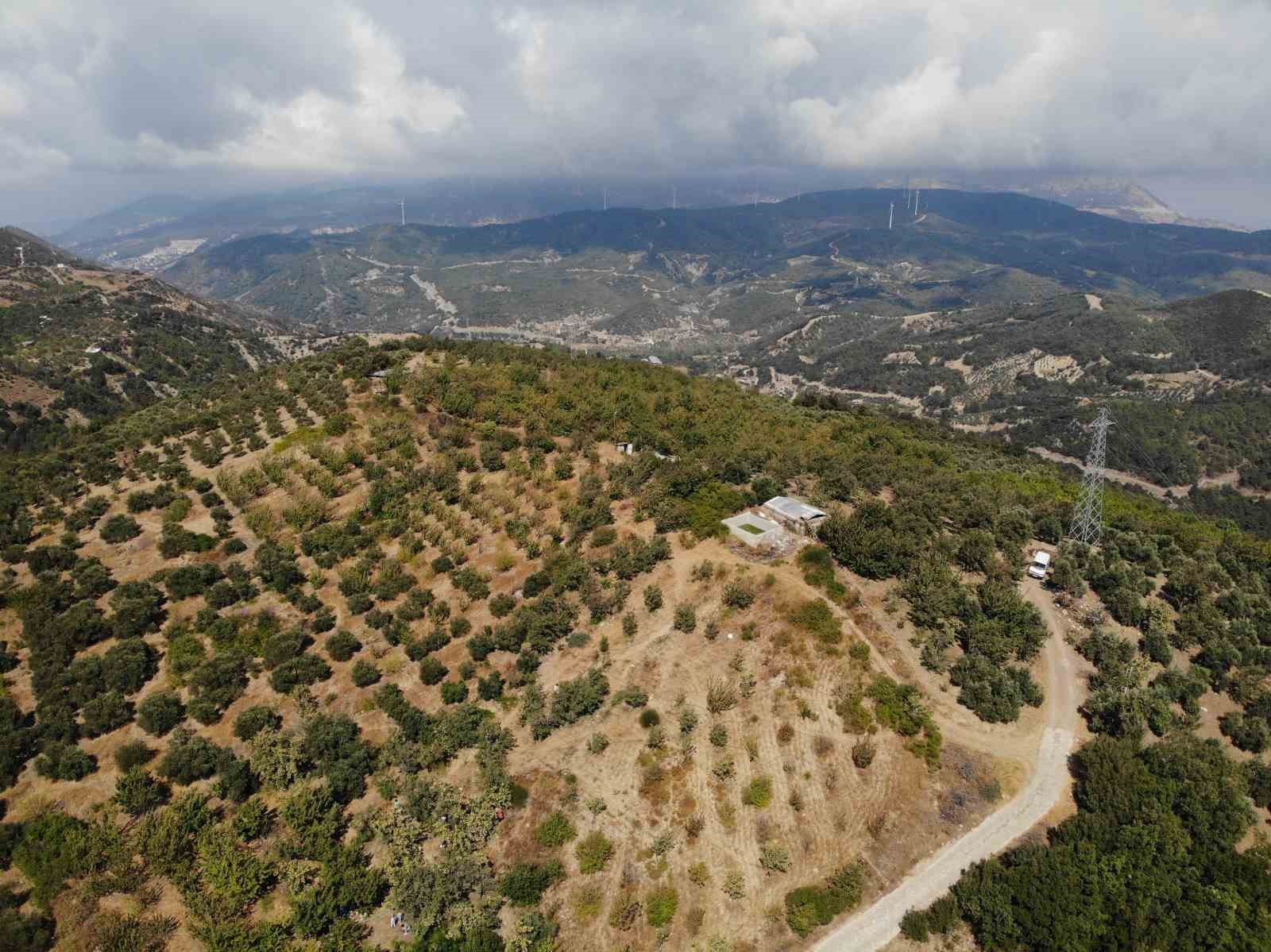 Depremzede üreticinin hasadından memnun olduğu alıç ihraç ediliyor
